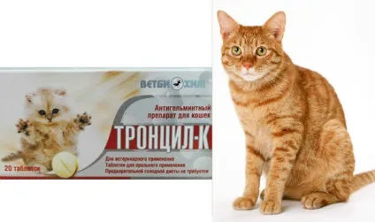 Тронціл-к для кішок застосування, дозування, протипоказання (кішок) Тронціл-к для кішок застосування, дозування, протипоказання