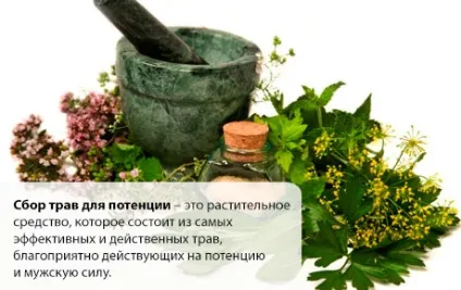 Трави, що підвищують потенцію, компетентно про здоров'я на ilive (трави підвищують потенцію) Трави, що підвищують потенцію, компетентно про здоров'я на ilive