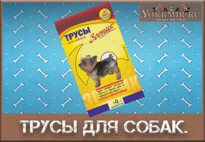 Труси для собак, під час тічки, ціна, своїми руками