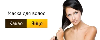 Зміцнення волосся яйцем в домашніх умовах (яйцем) Зміцнення волосся яйцем в домашніх умовах
