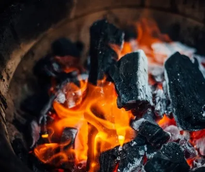 Вугілля для мангала