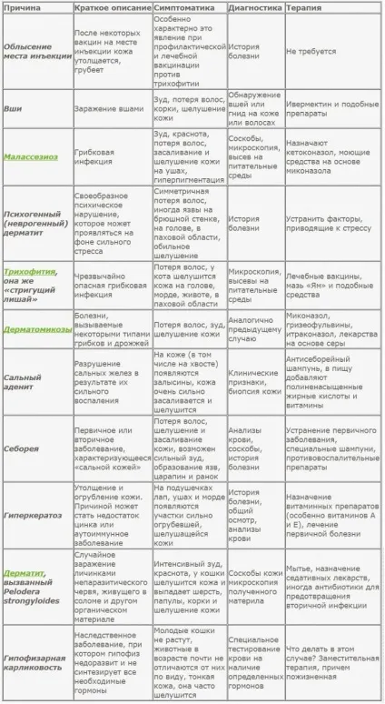 У кішки лущиться шкіра таблиця симптомів і способів лікування (кішки) У кішки лущиться шкіра таблиця симптомів і способів лікування