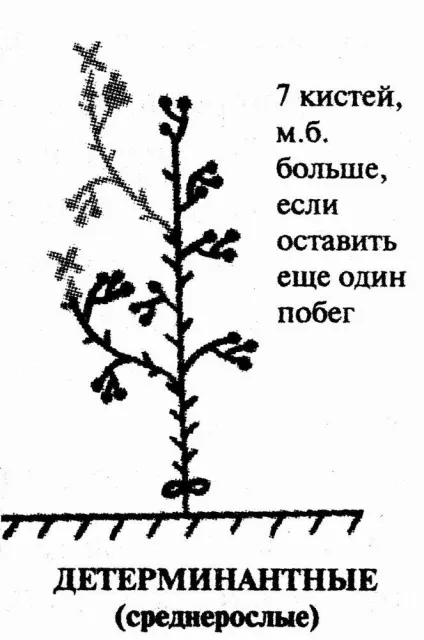 Усунення томатних «неполадок»