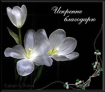 Весняний сад - вірші і прозаУкаіни (& amp; nbsp) Весняний сад - вірші і прозаУкаіни