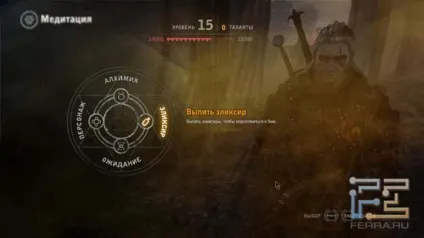 Відьмачий виверти