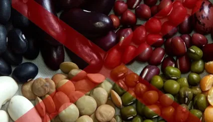 Узі підшлункової залози підготовка, таблиця з нормами, розшифровка результатів у жінок (нормами) Узі підшлункової залози підготовка, таблиця з нормами, розшифровка результатів у жінок