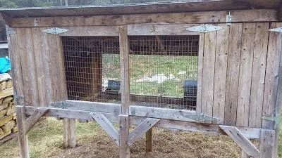 Чи вигідно розводити кроликів бізнес-план по розведенню кроликів (чи вигідно розводити кроликів бізнес план по розведенню кроликів розведення кроликів в домашніх умовах для початківців) Чи вигідно розводити кроликів бізнес-план по розведенню кроликів