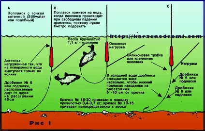 Види оснасток поплавців вудок, карась-не дрімав! (Оснасток) Види оснасток поплавців вудок, карась-не дрімав!