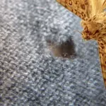 Віскоза як за нею доглядати, мамині шпаргалочкі (властивості вискозной тканини) Віскоза як за нею доглядати, мамині шпаргалочкі