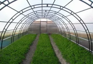 Чи шкідливий полікарбонат для здоров'я (шкідливий) Чи шкідливий полікарбонат для здоров'я