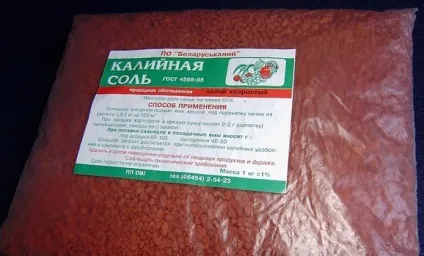 Позакореневе підживлення картоплі ніж підгодувати картопля (добрива) Позакореневе підживлення картоплі ніж підгодувати картопля