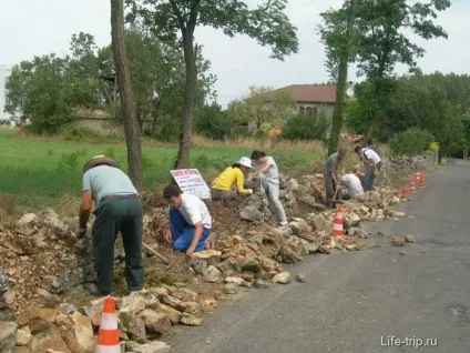 Волонтерські проекти - що це таке, країни і робота (Робота волонтером буває) Волонтерські проекти - що це таке, країни і робота