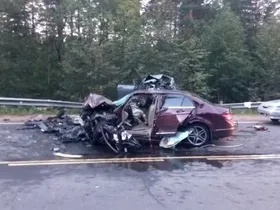 У північній столиці з'явився кіт-математик (відео) (квадратний корінь) У північній столиці з'явився кіт-математик (відео)