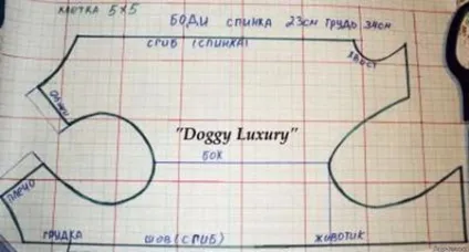 Навіщо потрібні труси для собак - dogcollar - амуніція і аксесуари для собак (одяг і взуття для собак) Навіщо потрібні труси для собак - dogcollar - амуніція і аксесуари для собак