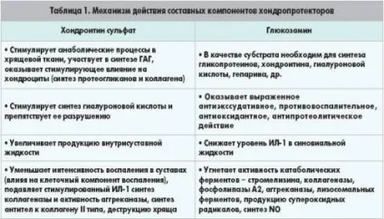 Хондропротектори для суглобів кращі препарати для лікування (Види хондропротекторов залежності) Хондропротектори для суглобів кращі препарати для лікування