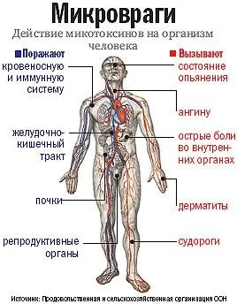 рис якості