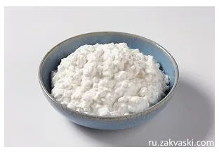 Жирний сир - користь і шкода в одному продукті! (сир) Жирний сир - користь і шкода в одному продукті!