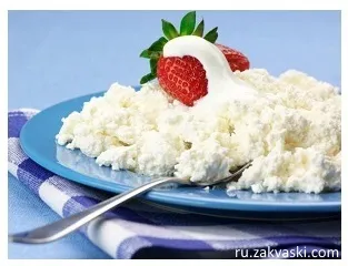 Жирний сир - користь і шкода в одному продукті! (Закваски) Жирний сир - користь і шкода в одному продукті!