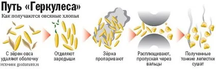 рис якості
