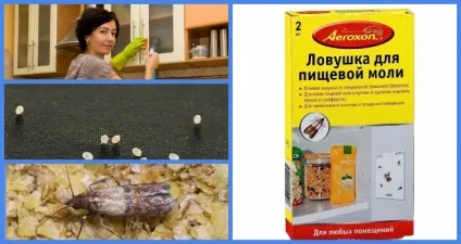 Знайомимося харчова моль і що потрібно знати про неї (Зниження підвищення температури) Знайомимося харчова моль і що потрібно знати про неї