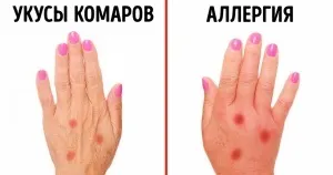 11 Шикарних історій, які доводять, що оцінки нічого не значать в дорослому житті (нічого) 11 Шикарних історій, які доводять, що оцінки нічого не значать в дорослому житті
