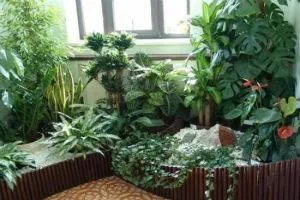 10 Способів фітодизайну інтер'єру (озеленення кімнати) 10 Способів фітодизайну інтер'єру