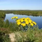 5 Днів в Алакуртті, відпочинок на знос (захисникам радянського Заполяр'я) 5 Днів в Алакуртті, відпочинок на знос