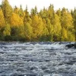 5 Днів в Алакуртті, відпочинок на знос (42-го стрілецького корпусу) 5 Днів в Алакуртті, відпочинок на знос