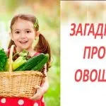 65 Кращих загадок про героїв казок, загадки про героїв українських та іноземних казок (загадок) 65 Кращих загадок про героїв казок, загадки про героїв українських та іноземних казок