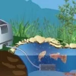 Аератор для ставка взимку - правила вибору і установки! (Аератор) Аератор для ставка взимку - правила вибору і установки!