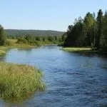5 Днів в Алакуртті, відпочинок на знос (42-го стрілецького корпусу) 5 Днів в Алакуртті, відпочинок на знос