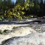 5 Днів в Алакуртті, відпочинок на знос (42-го стрілецького корпусу) 5 Днів в Алакуртті, відпочинок на знос