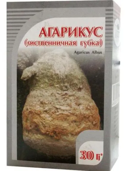 Агарікус, або модринова губка застосування, відгуки, цілющі властивості (модринова) Агарікус, або модринова губка застосування, відгуки, цілющі властивості