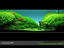 Альпійська долина, або акваскейп - це просто