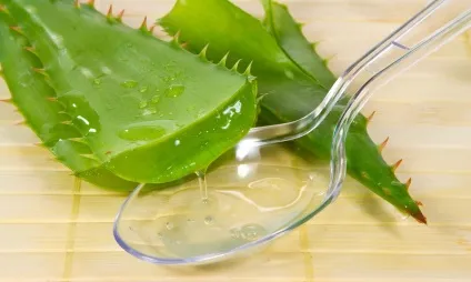 Алое при простатиті особливості лікування і рецепти приготування (лікування) Алое при простатиті особливості лікування та рецепти приготування