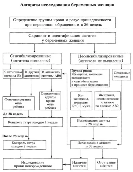 Алгоритм іммуногематологіческіх дослідження жінок під час вагітності