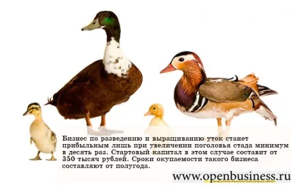Арт-вечірки в ресторанах