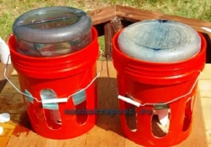Автопоїлки для курей