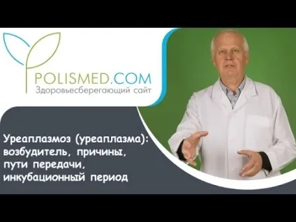 Азитроміцин при уреаплазми схема лікування і як приймати при вагітності (азитроміцин) Азитроміцин при уреаплазми схема лікування і як приймати при вагітності