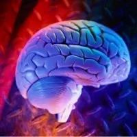 Вагітність і кіста яєчника - скальпель - медичний інформаційно-освітній портал (вагітність) Вагітність і кіста яєчника - скальпель - медичний інформаційно-освітній портал