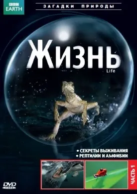 Bbc життя (2009) онлайн безкоштовно (bbc: життя) Bbc життя (2009) онлайн безкоштовно