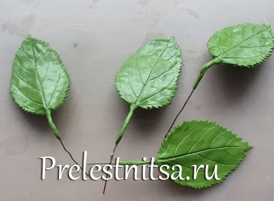 Біла гортензія з холодного фарфору (порцеляни) Біла гортензія з холодного фарфору