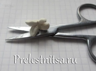 Біла гортензія з холодного фарфору (діаметром приблизно надягаємо) Біла гортензія з холодного фарфору