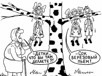 Березовий сік цікаві факти і правила збору цілющого напою - дачні питання - статті про (цікаві) Березовий сік цікаві факти і правила збору цілющого напою - дачні питання - статті про
