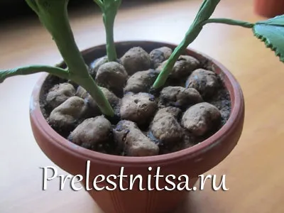 Біла гортензія з холодного фарфору (гортензія) Біла гортензія з холодного фарфору