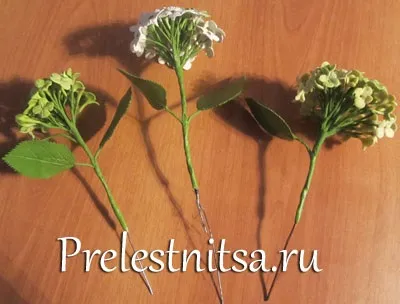 Біла гортензія з холодного фарфору (холодного) Біла гортензія з холодного фарфору