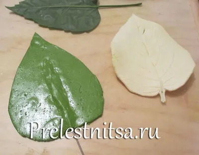 Біла гортензія з холодного фарфору (гортензія) Біла гортензія з холодного фарфору
