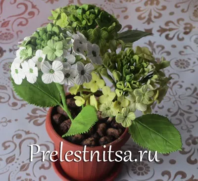 Біла гортензія з холодного фарфору (гортензія) Біла гортензія з холодного фарфору