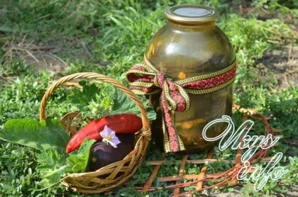 Баклажани фаршировані морквою і часником на зиму рецепт з фото (фаршировані) Баклажани фаршировані морквою і часником на зиму рецепт з фото