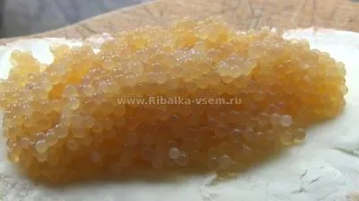 Страви з ікри щуки